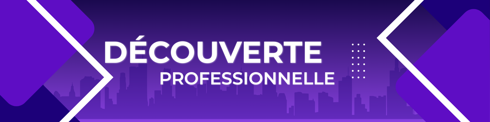 Découverte Professionnelle